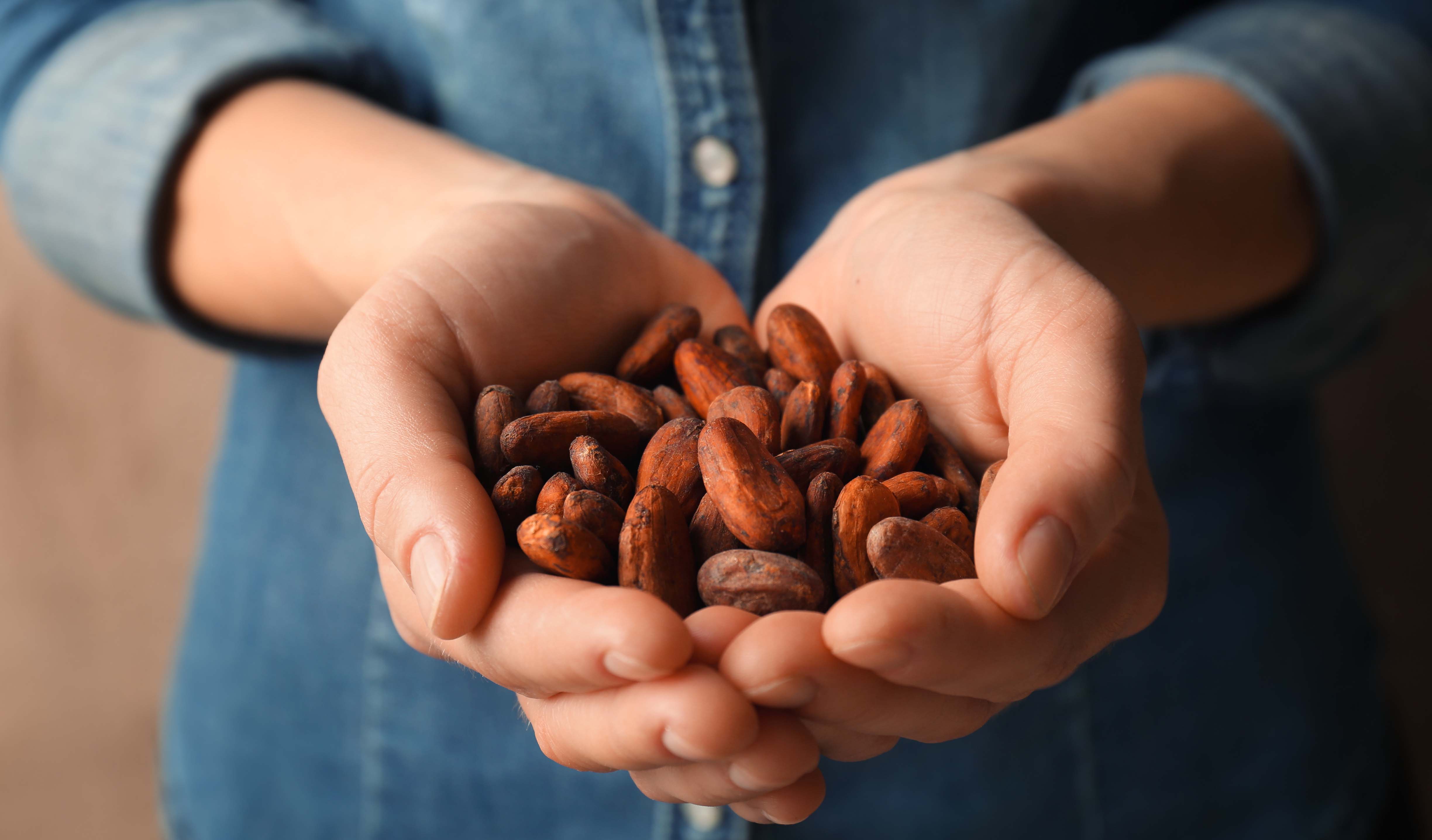 Cocoa Beans