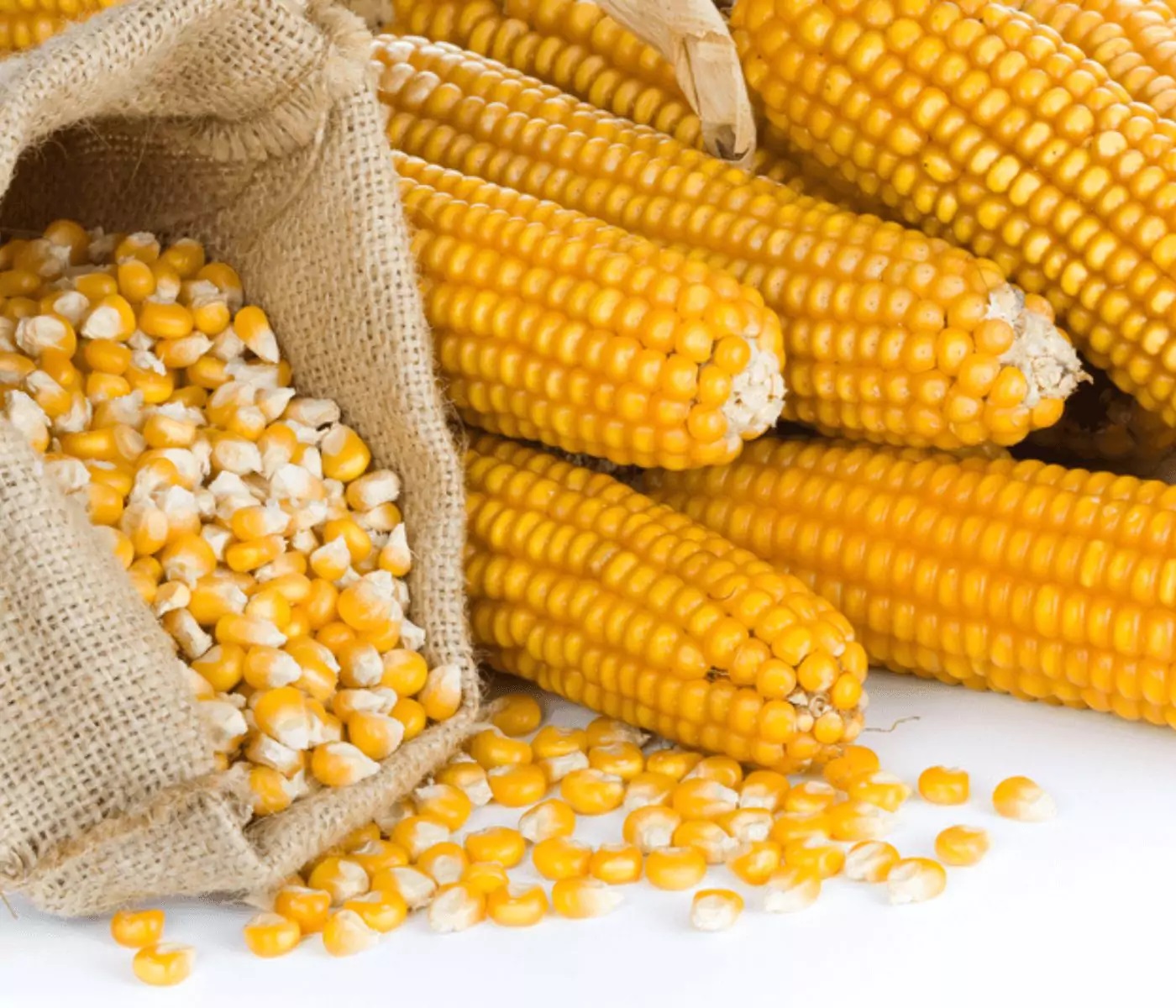 Corn