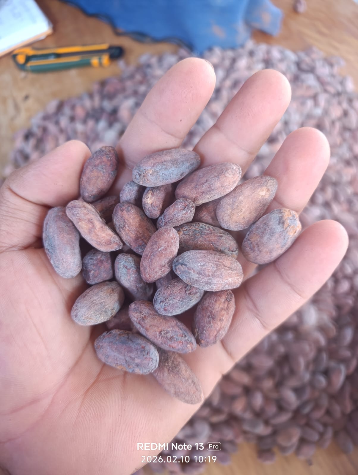 Trazabilidad y Transparencia